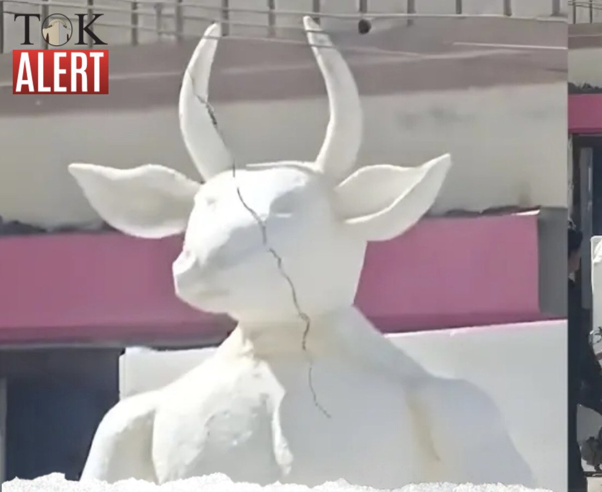 Mustafa Chaudhary tweet media