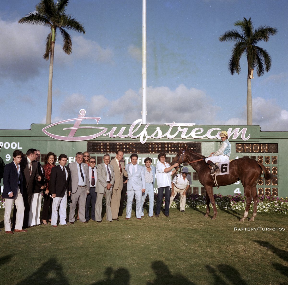 DRFLivingston's tweet photo. Remember MAT BOY 🔥?

The Argentine-bred son of Matun - Boyera, by Pastiche was a multiple G1 winner  - 6 wins by a combined 73+ lengths - before coming to the US.

MAT BOY then won Hialeah's 1984 Widener in 1:59 4/5 and the Gulfstream Park H. (12-length win in a record 1:59).... https://t.co/gHrizzBmfT