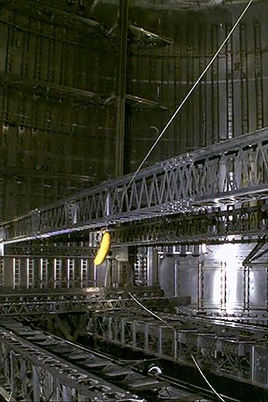 #THEBÄRT 🚀 tweet media