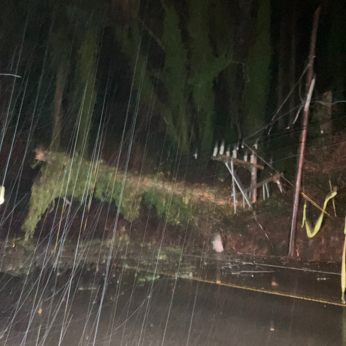 FOX 12 Oregon tweet media