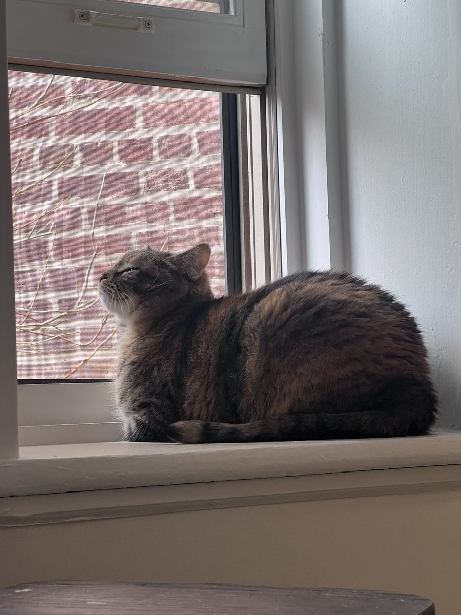 marble 🎱🐝 tweet media