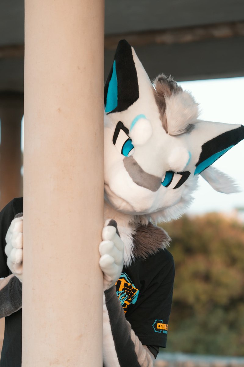 Kaze_Yang26's tweet photo. 👀👀
📷 @Arthsekiren
🪡 @KMN_NANO
#FursuitFriday https://t.co/NSfSbxJ6Tp