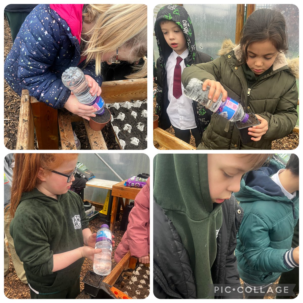 Miss. Miller tweet media