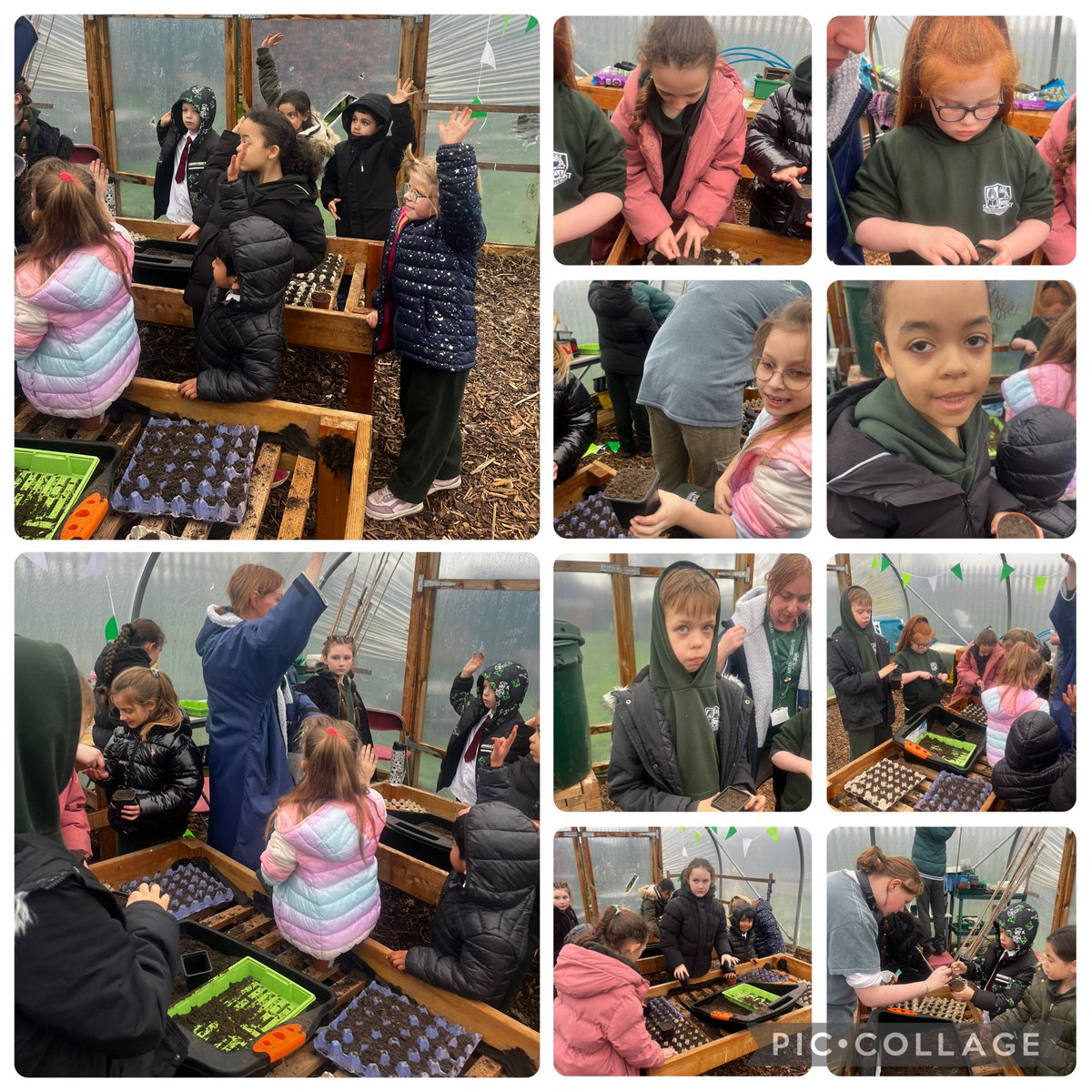 Miss. Miller tweet media