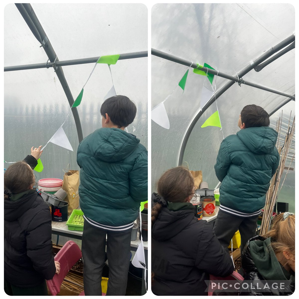 Miss. Miller tweet media