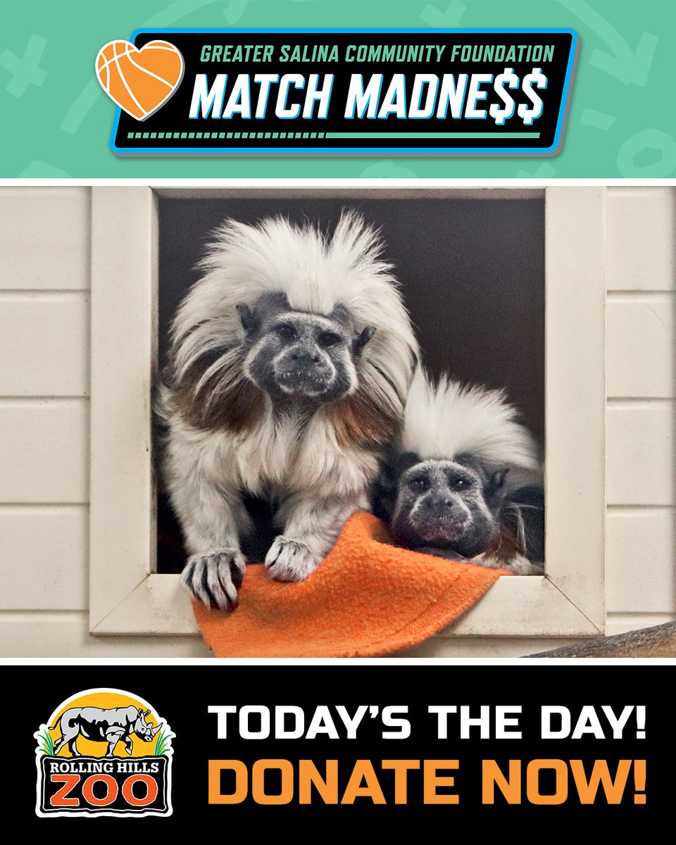 RHZoo's tweet photo. There's still time left to give for #MatchMadness! Your gift helps every species that calls #RollingHillsZoo home. #DONATE NOW at https://t.co/pAIPpi8oCU - open thru 11:59 PM.
Or, give in-person at the Salina Fieldhouse by 6 PM! Come now and enjoy lunch from the food trucks! https://t.co/5tVgmN8lya
