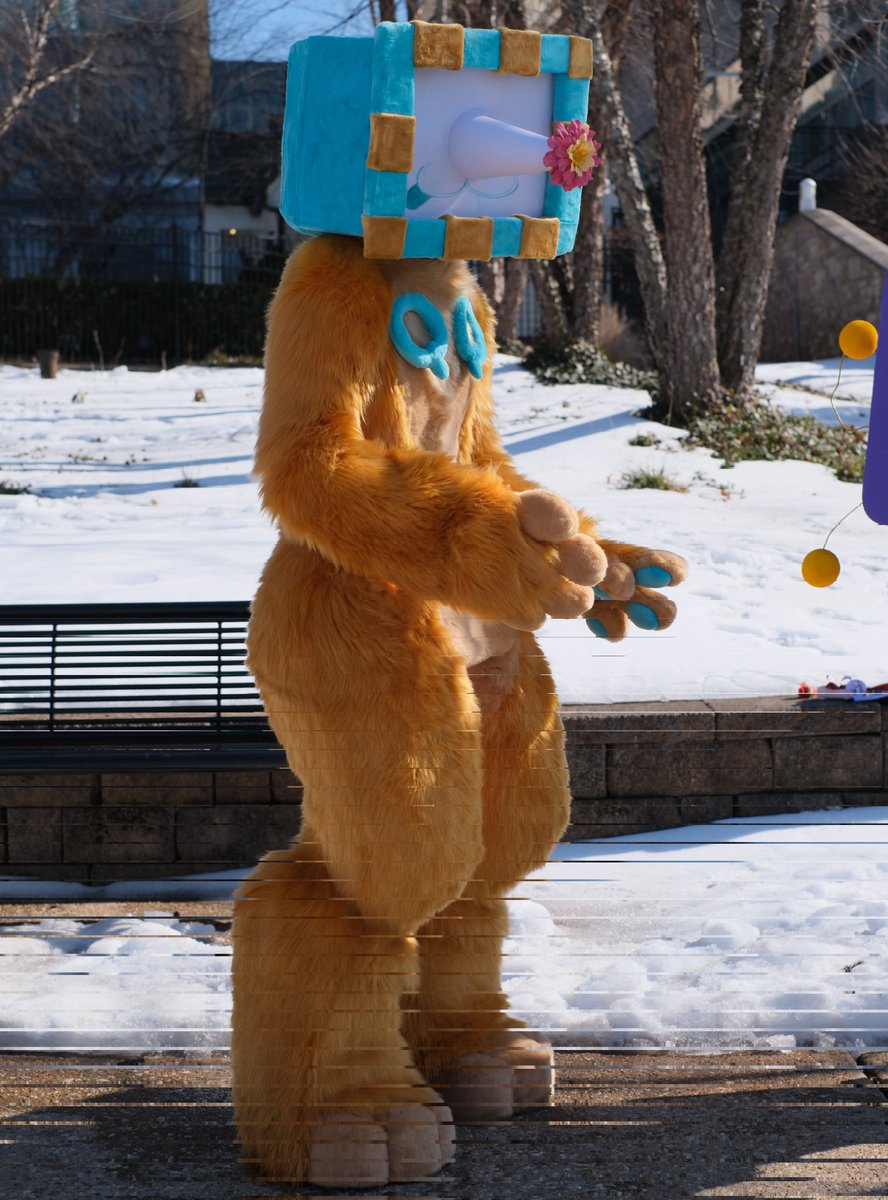 Lauren | TENNA PILLED tweet media