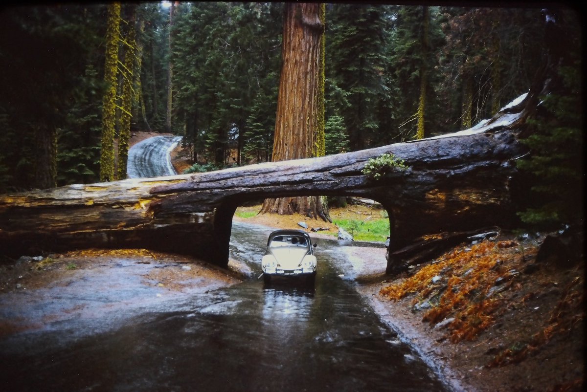 Wolfgang R Gander tweet media