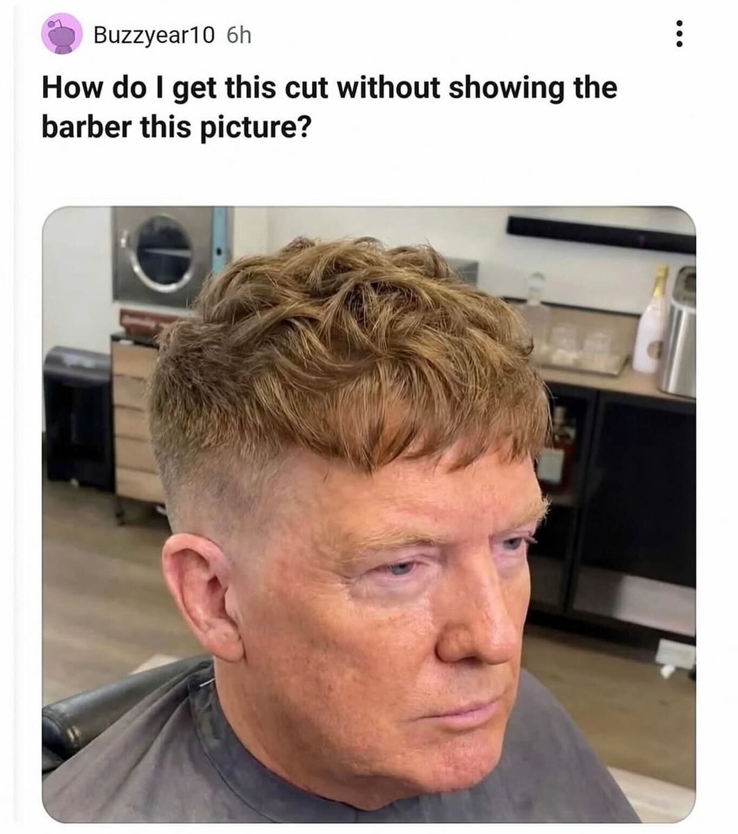 Braindead Bird App (@tragicbirdapp) on Twitter photo 