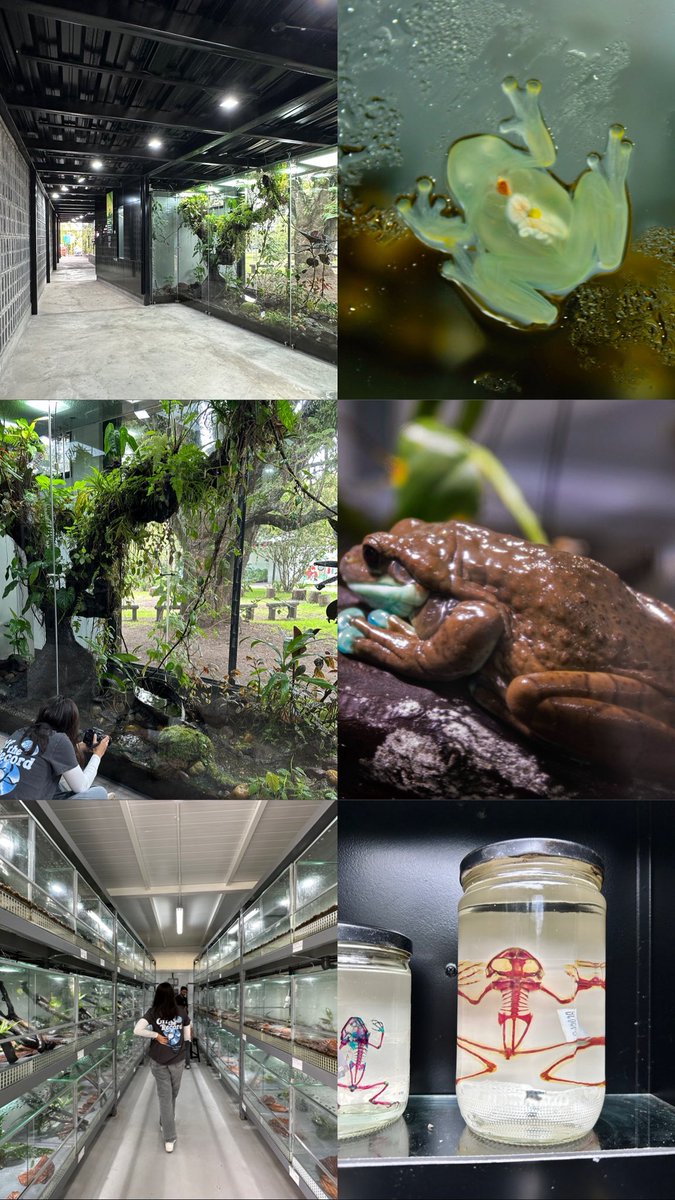 Esteban Najas Raad tweet media