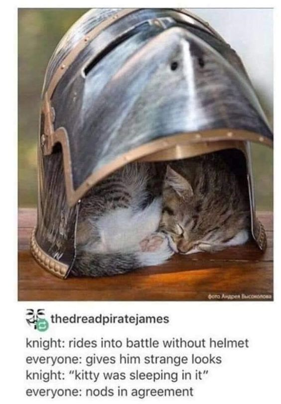 WholesomeMemes tweet media