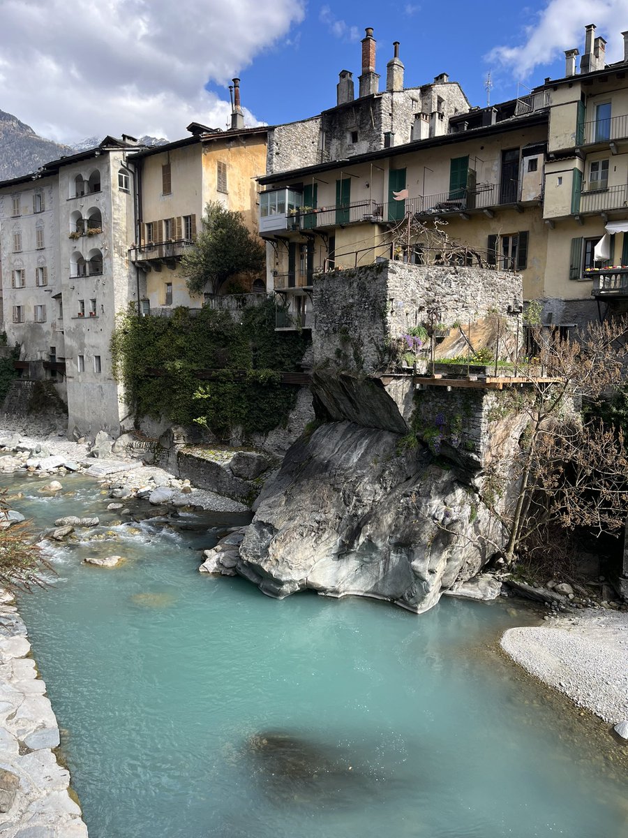 bona fide tweet media