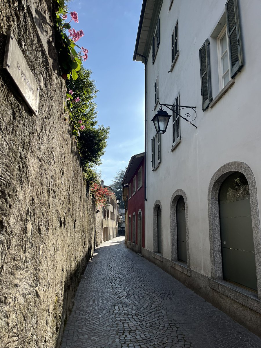 bona fide tweet media