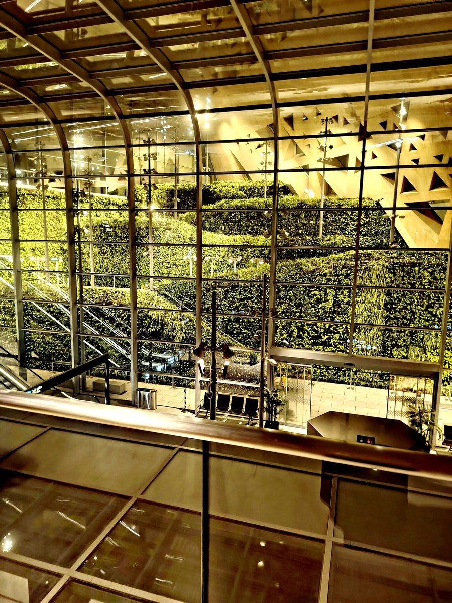 محسن | Mo7sen tweet media