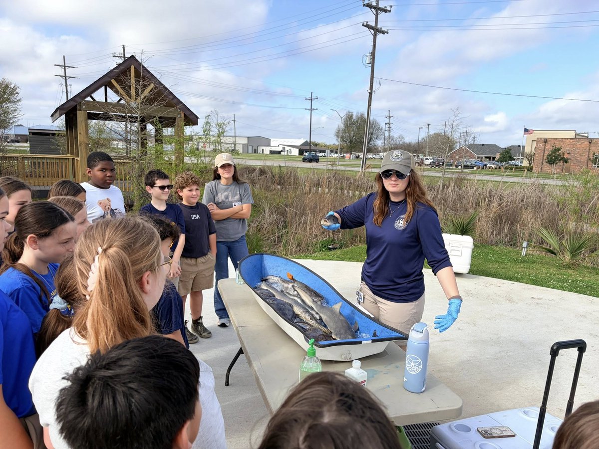 LaWildlife&Fisheries tweet media