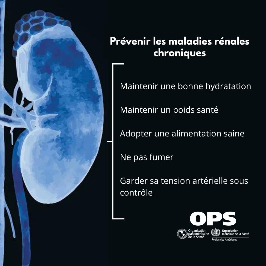 OPSOMSHaiti's tweet image. Les maladies rénales chroniques se développent souvent progressivement et les symptômes peuvent apparaître avec le temps.

Un dépistage précoce peut aider à ralentir leur progression. En cas de doute, consultez un professionnel de santé.

#JournéeMondialeDuRein #Kidney