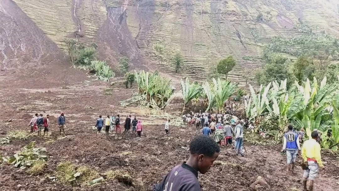 Prof. Mohamed Janabi tweet media