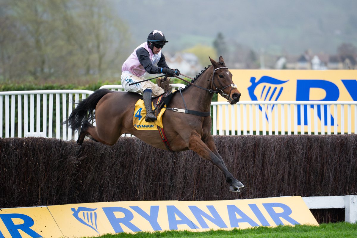 BHAHorseracing's tweet photo. Heart Wood lands the Ryanair Chase for @HenrydeBromhead and Darragh O'Keeffe 🏆 https://t.co/a0UkZYIqte