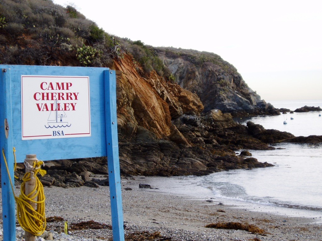 Catalina Island Marine Institute tweet media