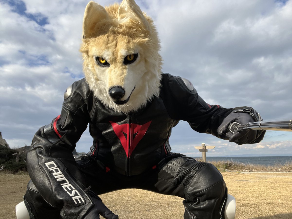 革ケモのおじ狼 Kawasaki VersysX-250 tweet media