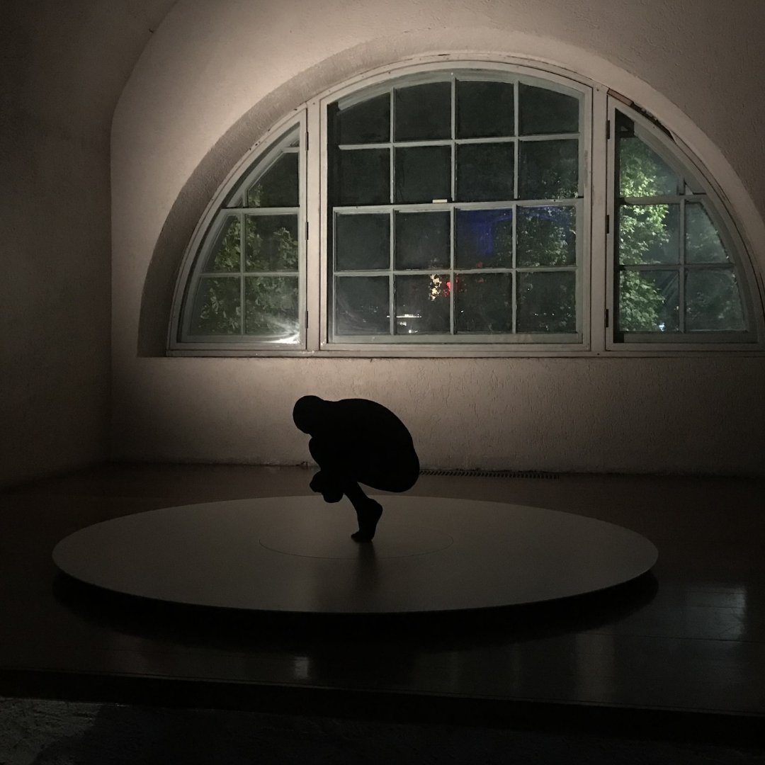 Ogle Models tweet media