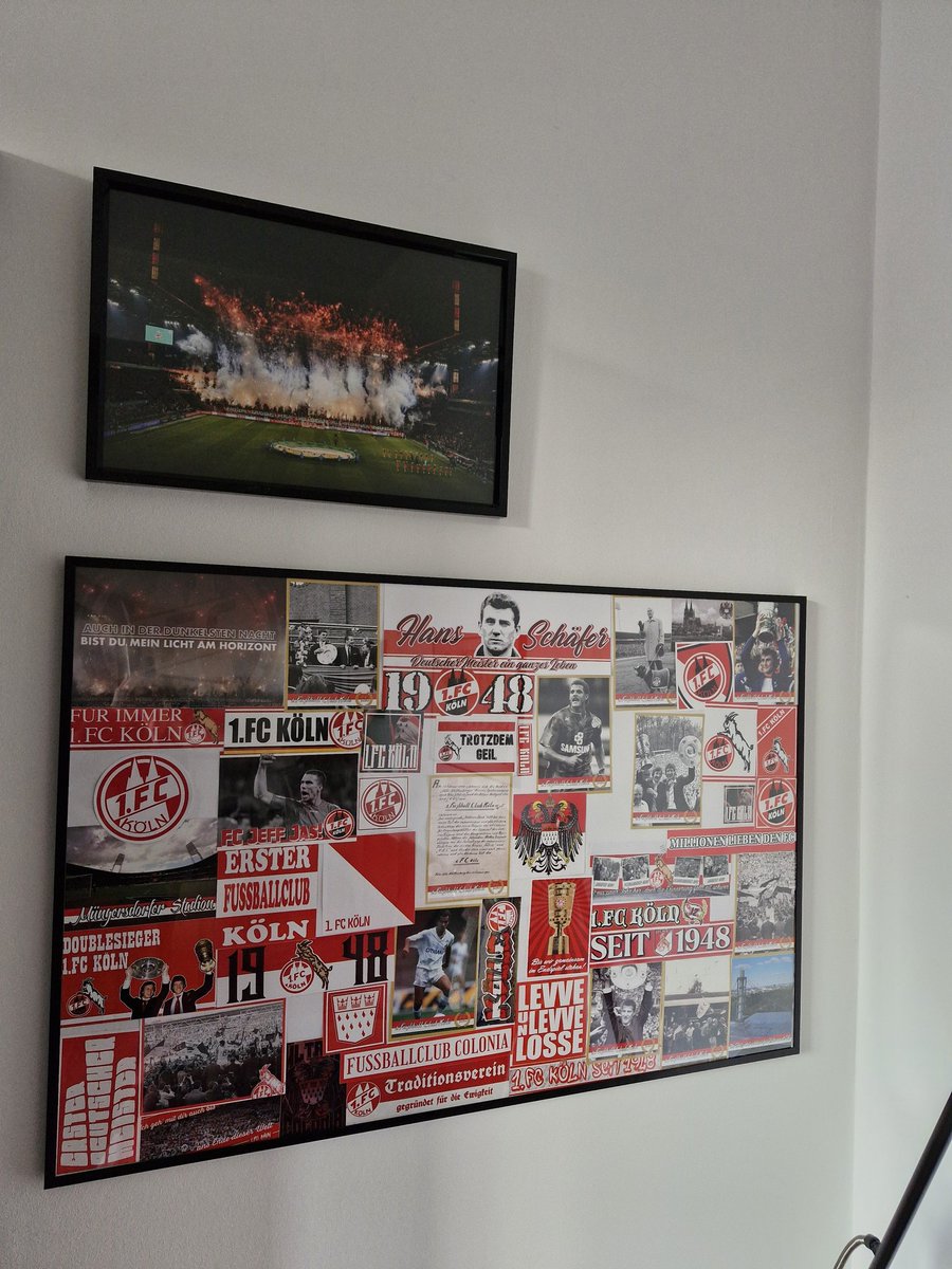 Lea📯🦆 tweet media