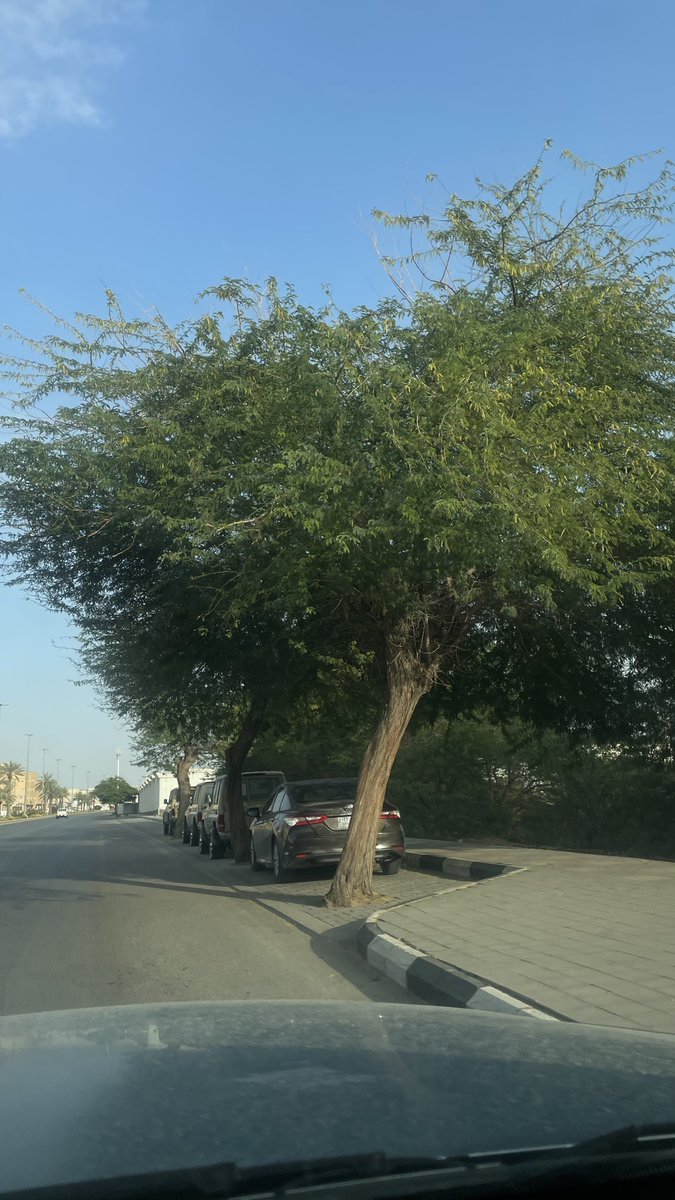 منصُــور البليهي tweet media