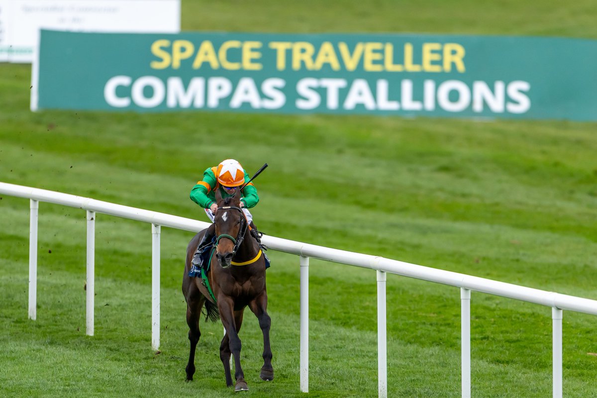 Naas Racecourse tweet media