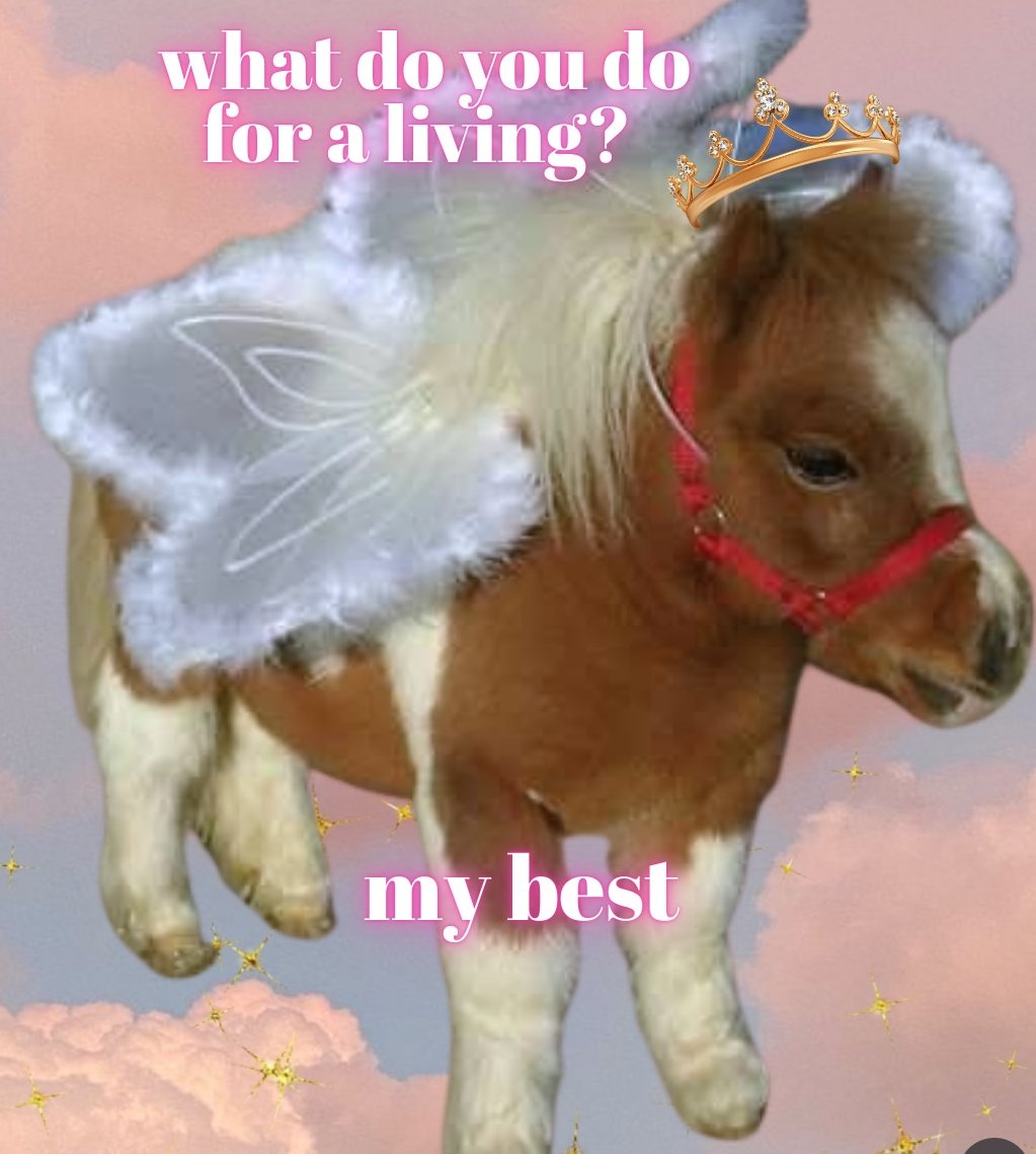 tomjsherlock tweet media