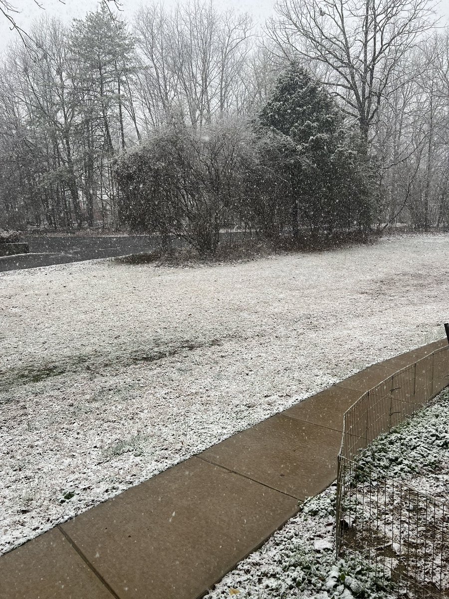 allison ⚡️ tweet media