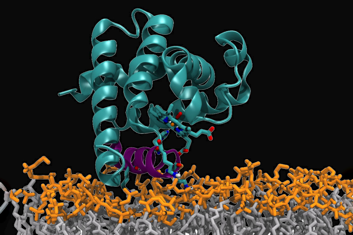 NEX Ciencia y Tecno tweet media