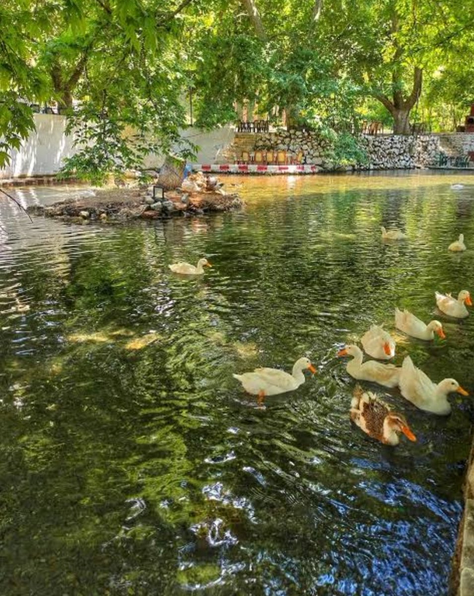 Mehmet Günay (@memogunayyy) on Twitter photo 