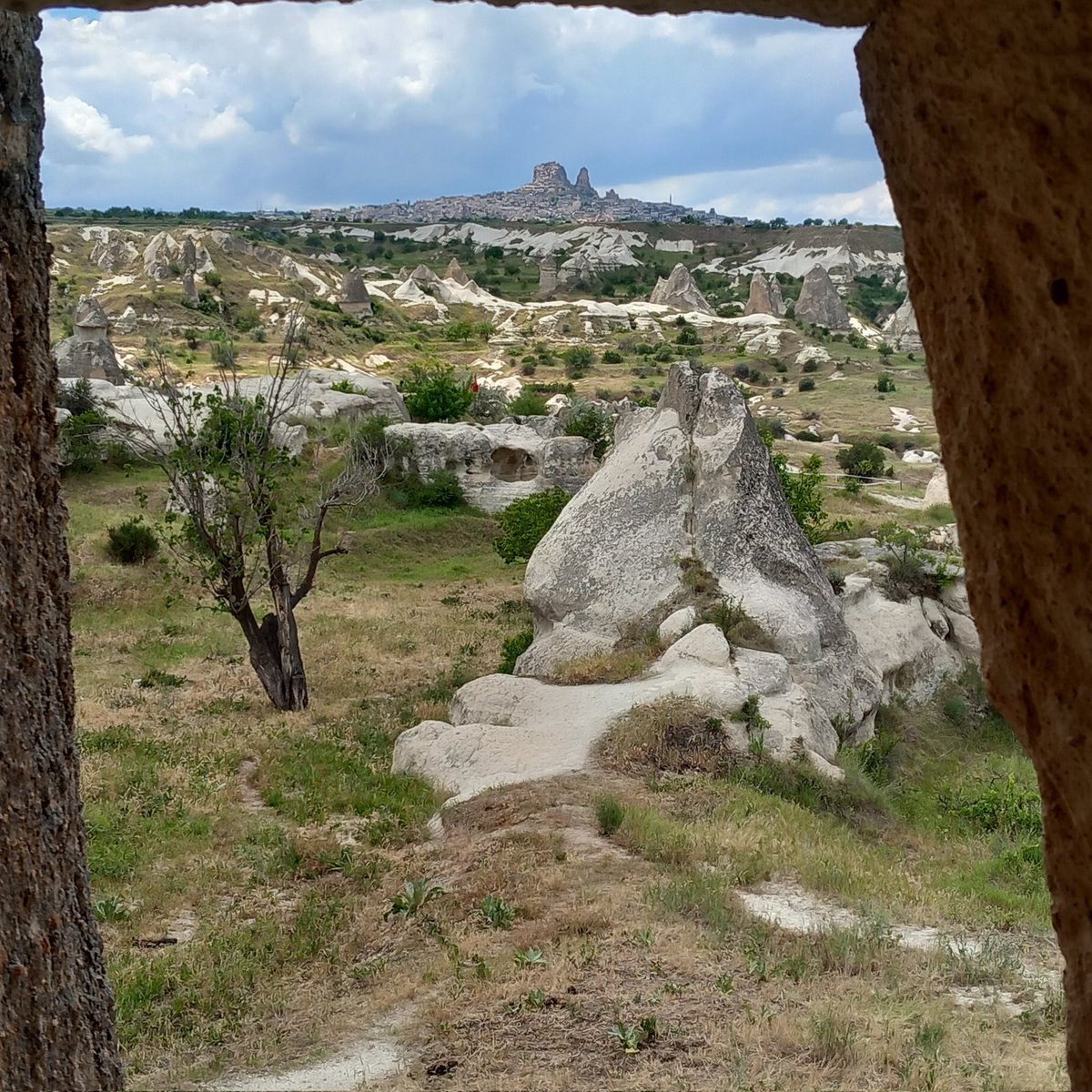 Mehmet Günay (@memogunayyy) on Twitter photo 