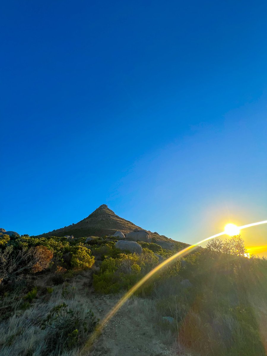 Cape Town Twins tweet media