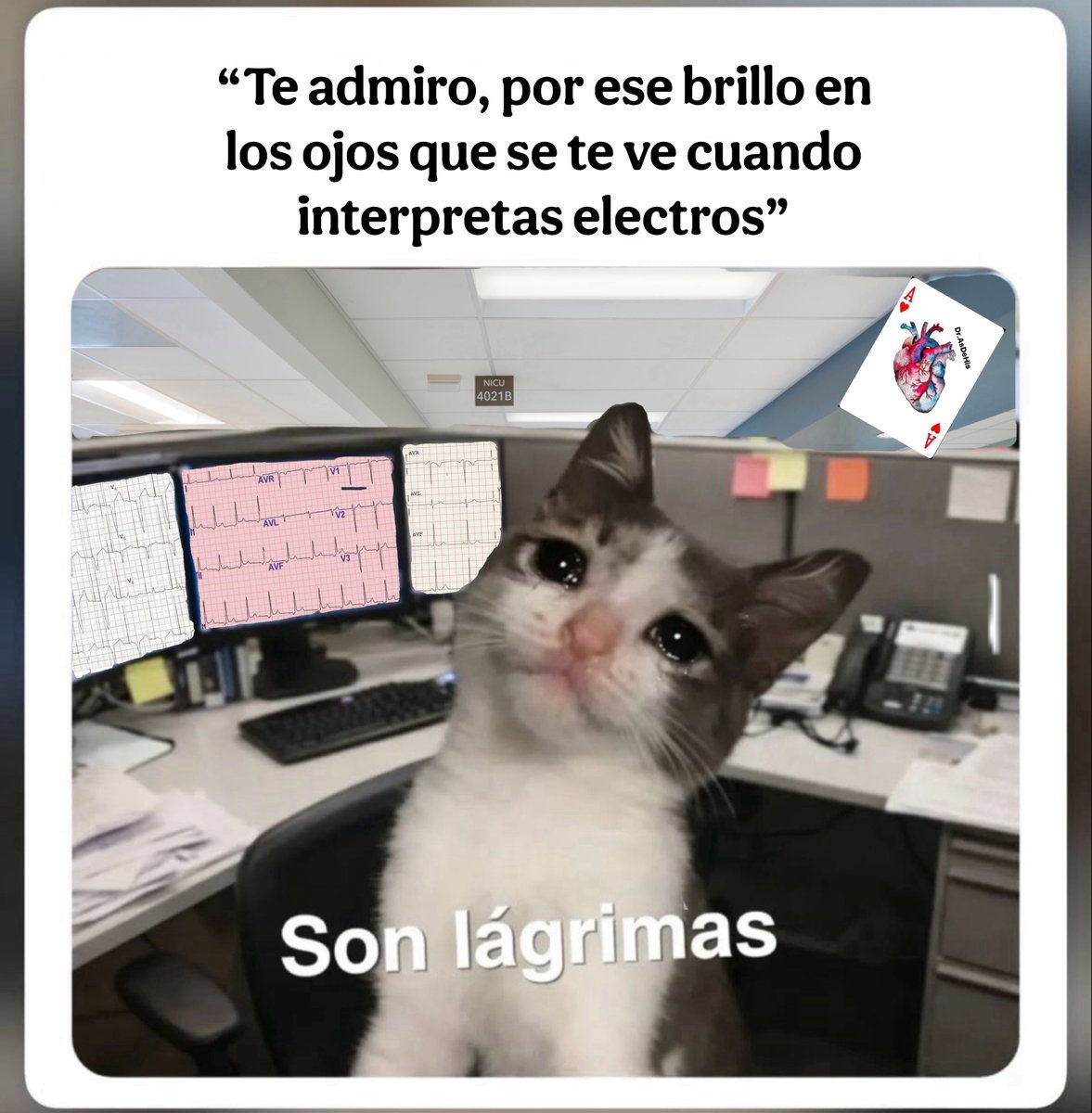 Dr.AsDeHis tweet media