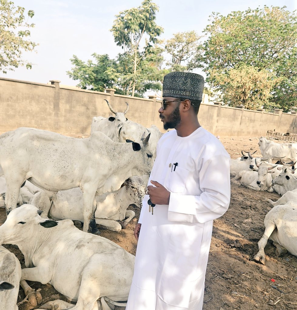 Mallam jabir tweet media