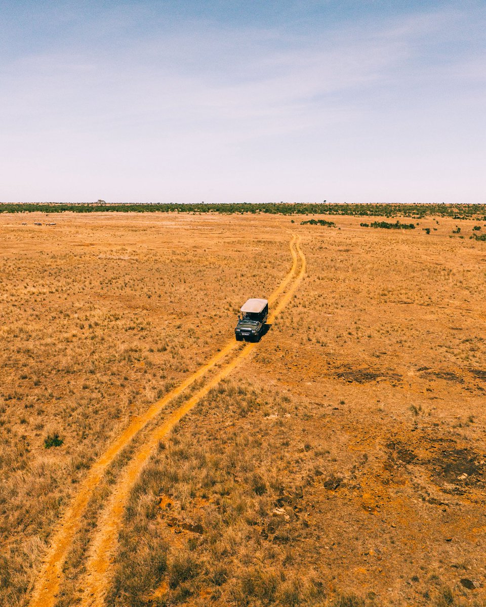 Onchomba Makori tweet media