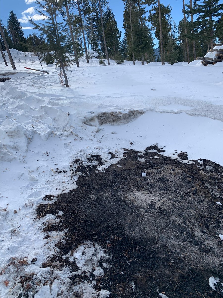 Evergreen Fire/Rescue tweet media