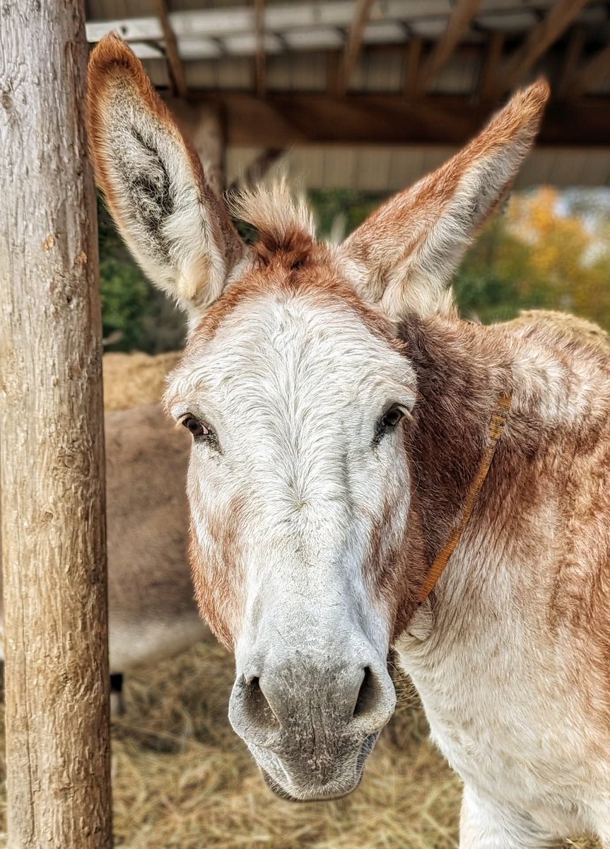 Keïth!🌈 🐾 Micker 😺 🐾 Miss P 😾 🐾 tweet media