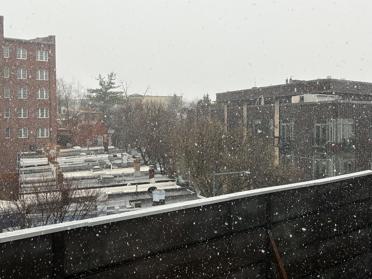 Kaela Cote-Stemmermann tweet media