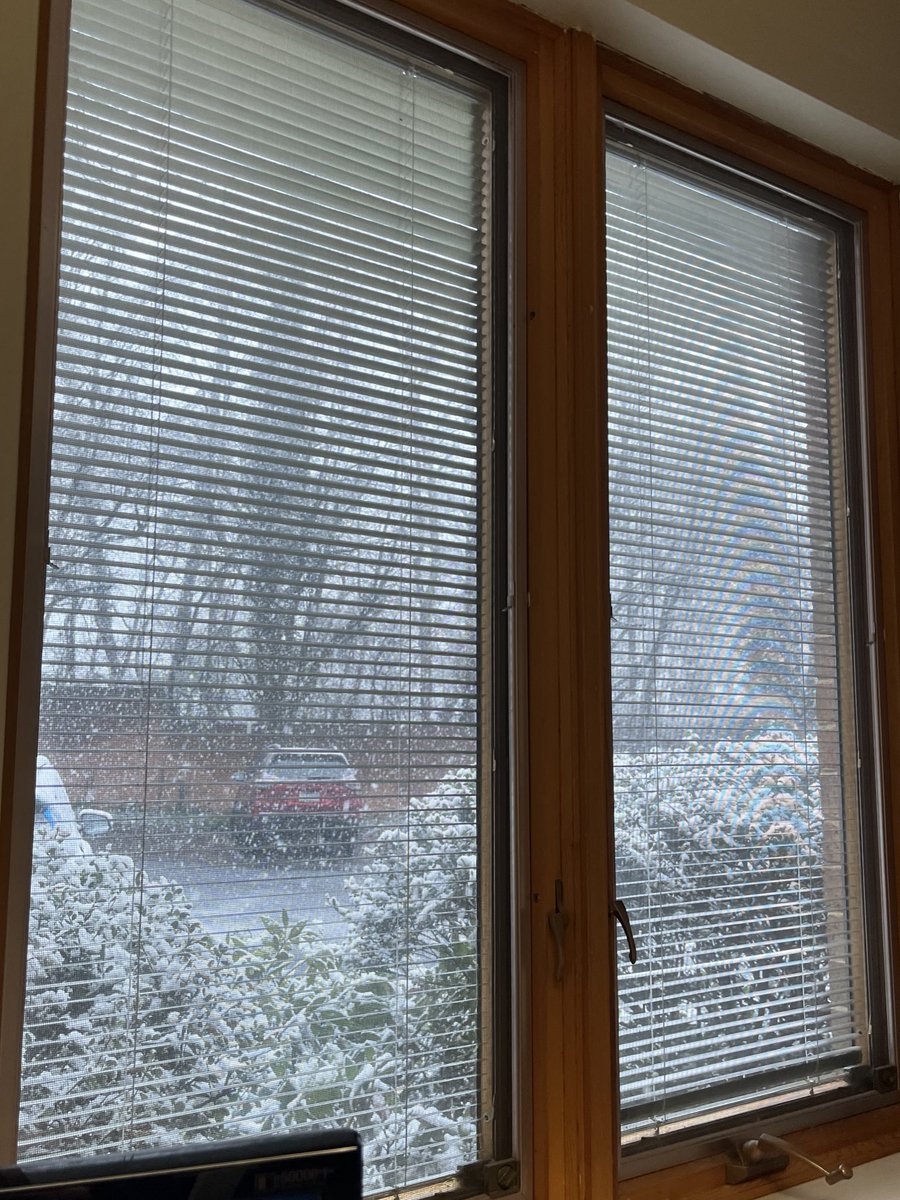 Megan the Sunset Mango 🥭 tweet media