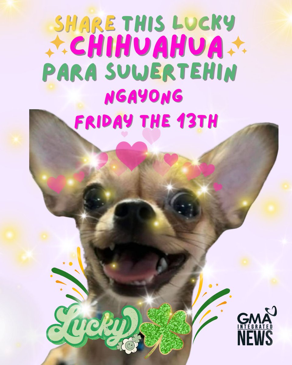 GMA Integrated News tweet media