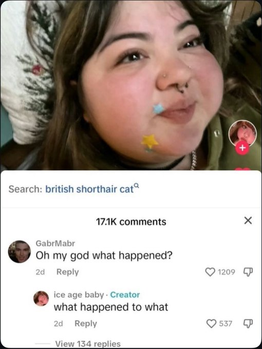 Reply Archive tweet media