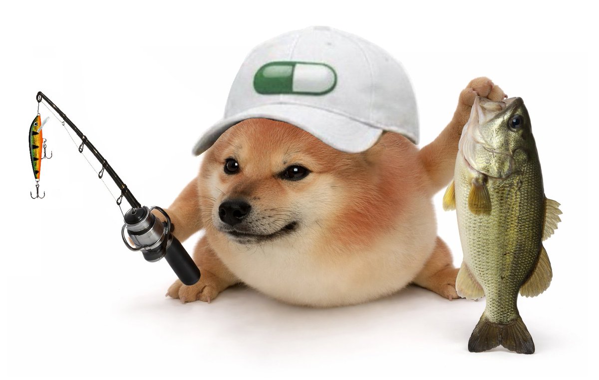 JonahTheWhale ( 🐳 , 🐳 ) tweet media