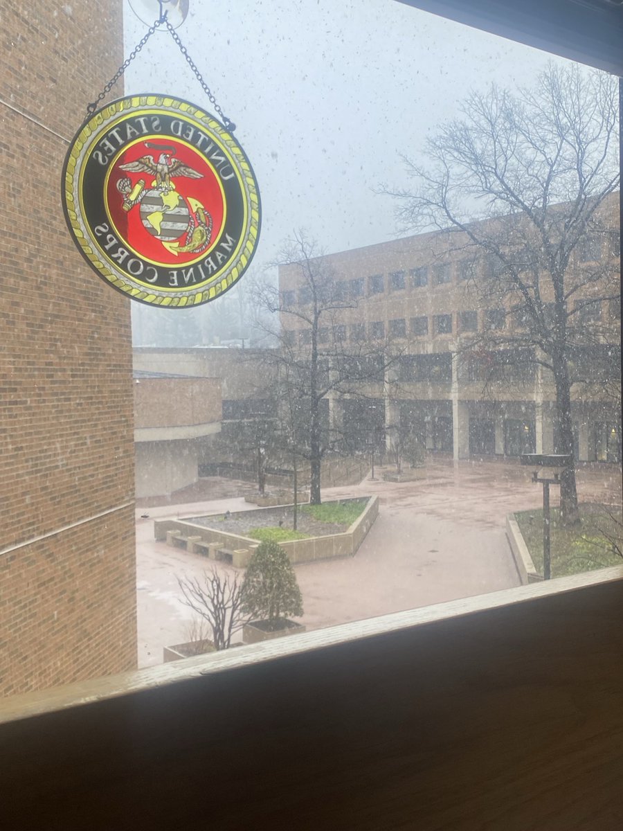 Dr Tracey Lynn Perez Koehlmoos tweet media