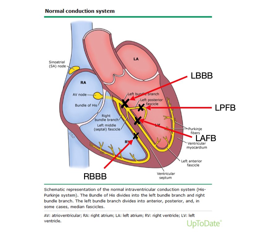 CardiovascularCorner tweet media