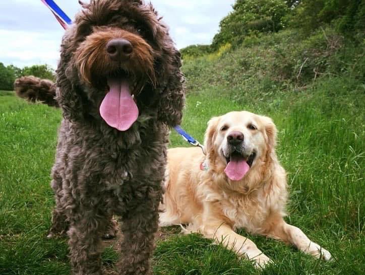 ARTIST CHRISTINE 👩🏼🎨💇🏻♀️🎨 tweet media