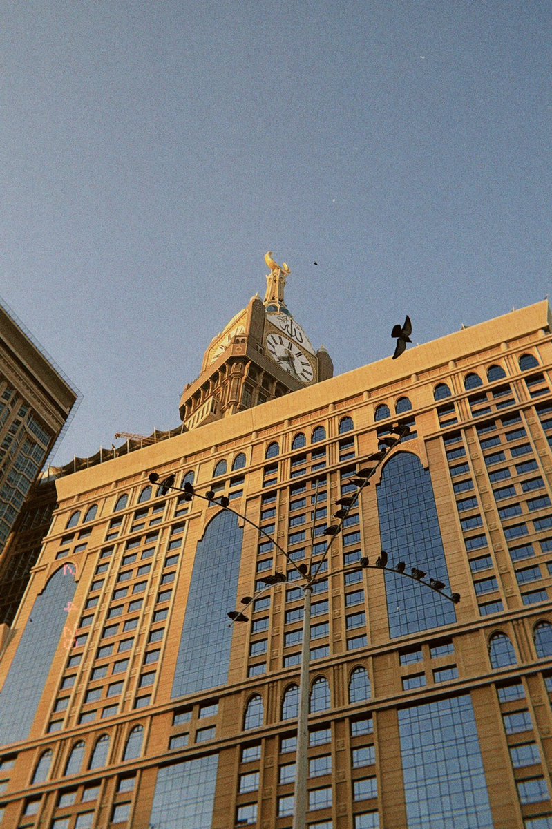 Omair Almuteb tweet media