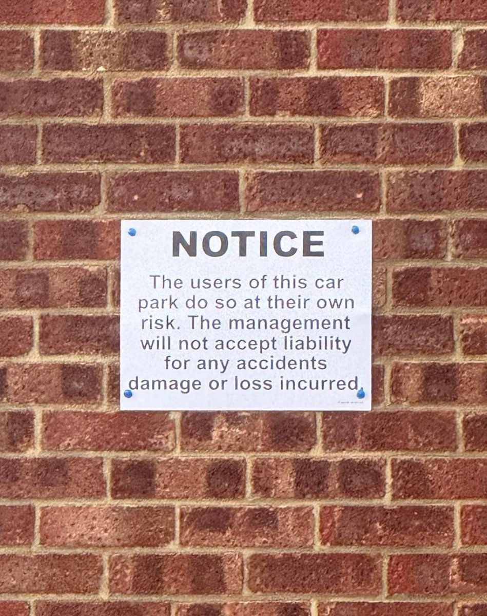 Dog Guesser V2.0 tweet media