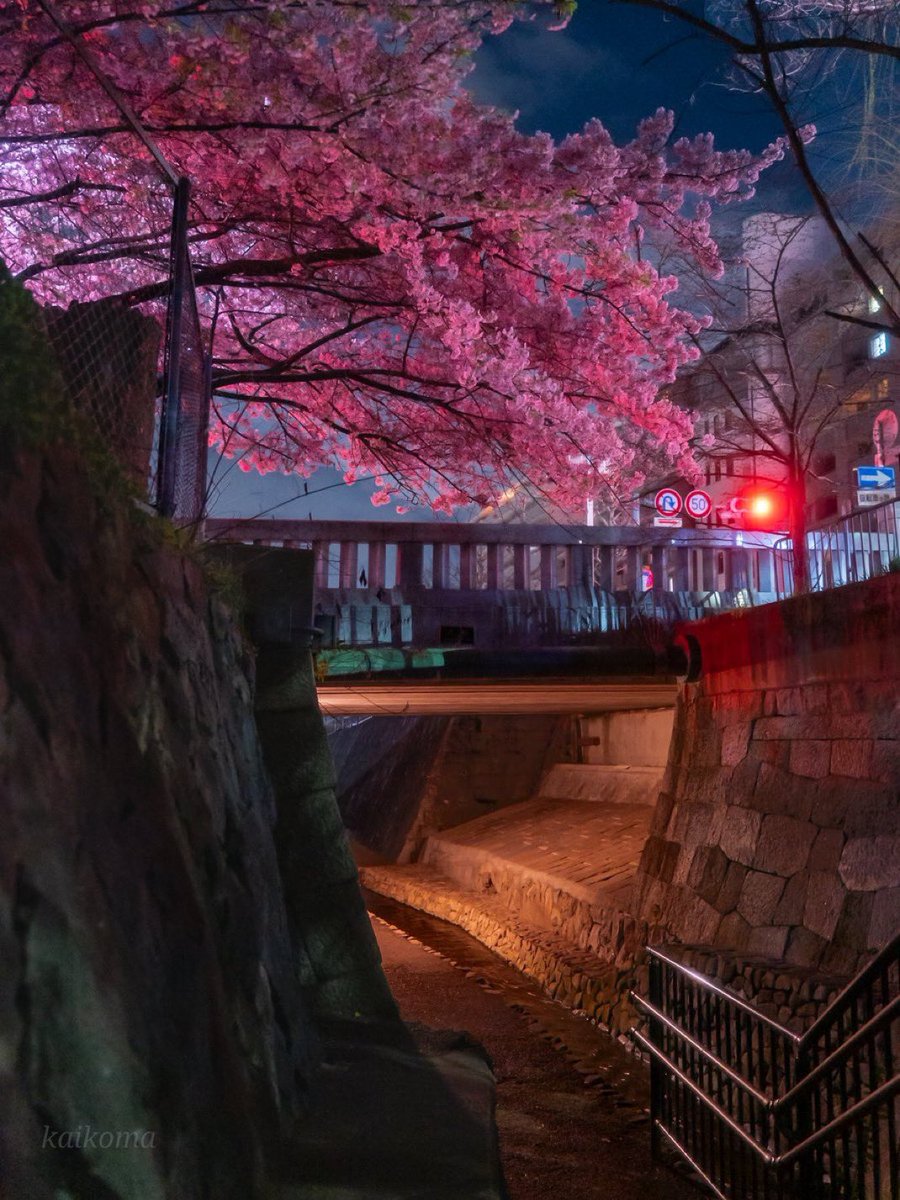 JapanViewDaily tweet picture